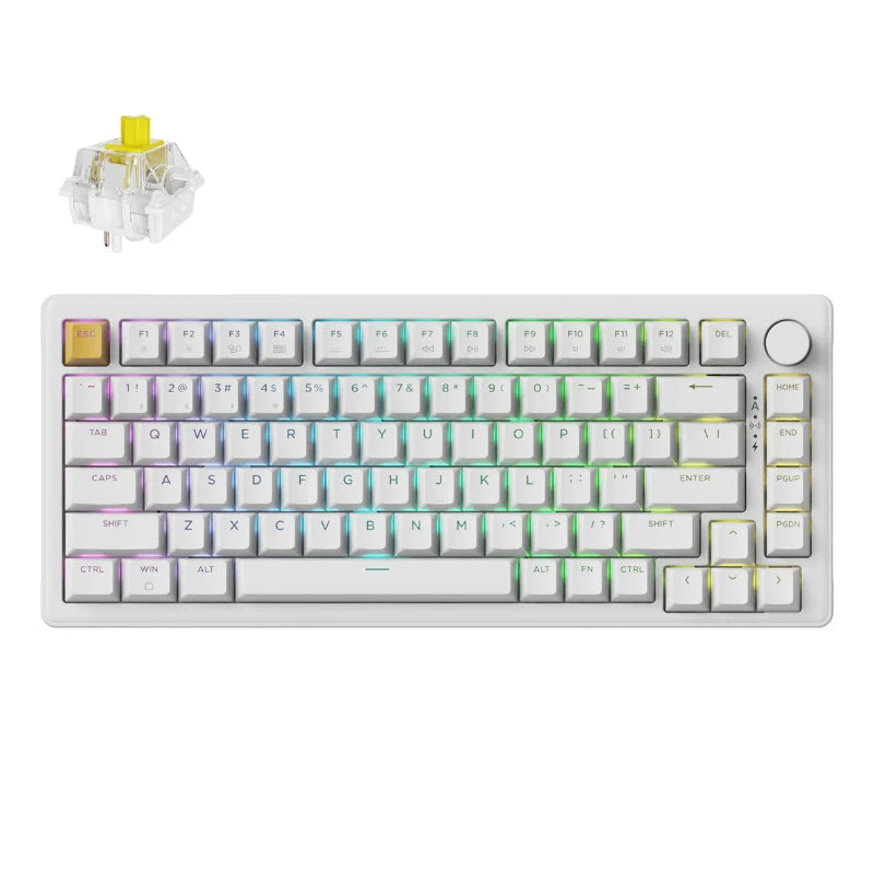 Keychron J2 QMK Wireless Mechanical Keyboard RGB Backlight with Keychron Super mechanical switch